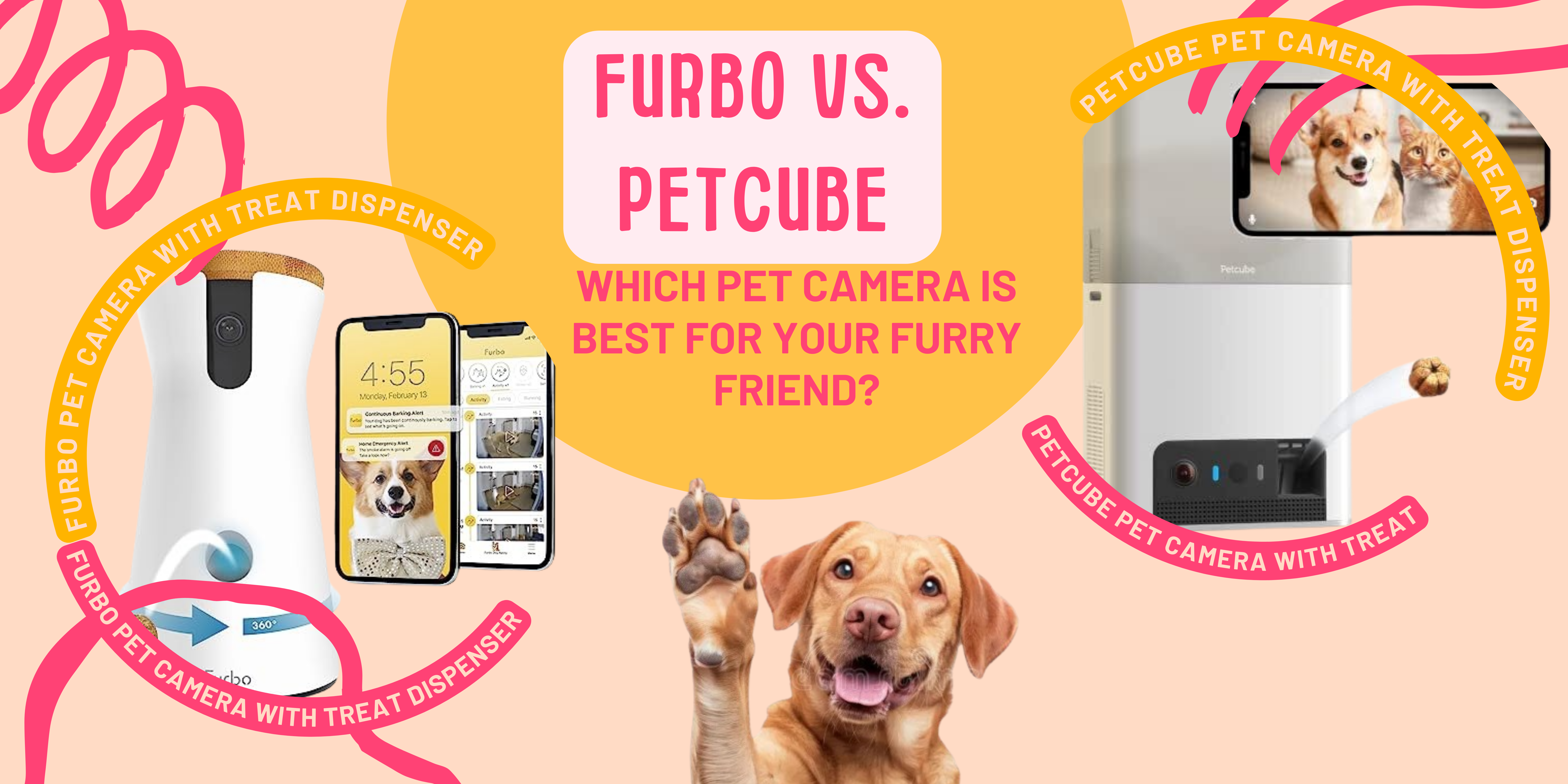 furbo vs petcube